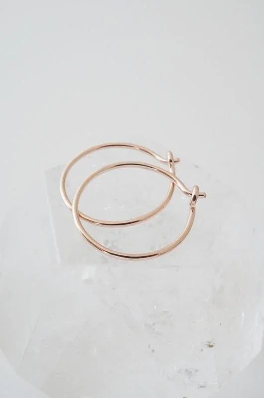 Everyday Hoops Earrings - Spoiled Me Rotten 